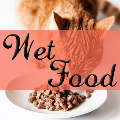 Wet Food