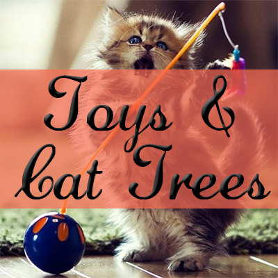 Toys & Cat Trees