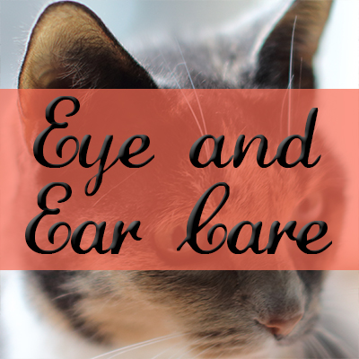 Eye and Ear Care