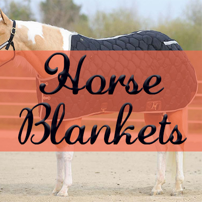 Horse's Blanket 