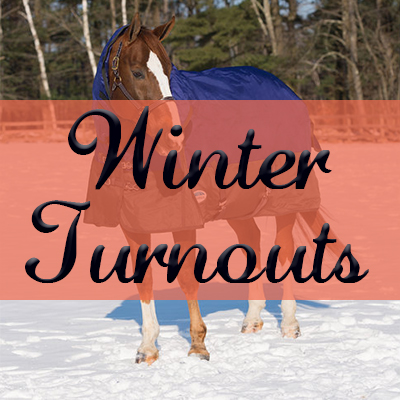 Winter Turnouts