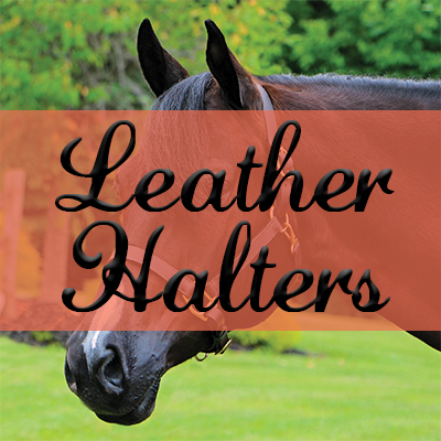 Leather Halters 