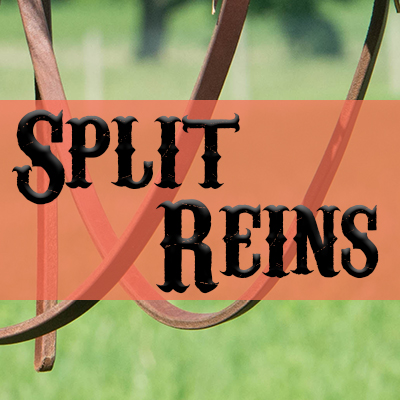 Split Reins