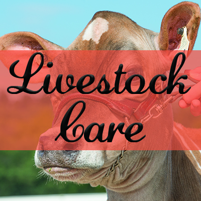 Livestock Care