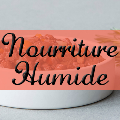 Nourriture Humide
