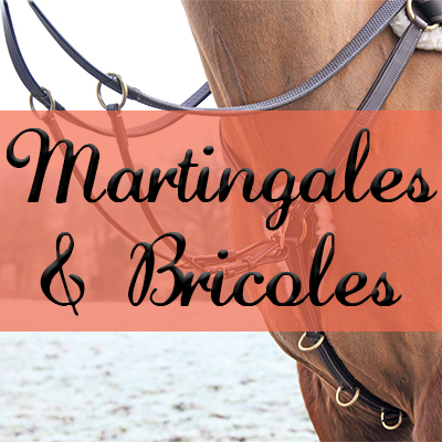 Martingales & Bricoles