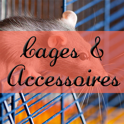 Cages & Accessoires