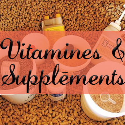 Vitamines & Suppléments