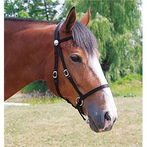 Nurtural Horse Nylon Bitless Bridle - Black