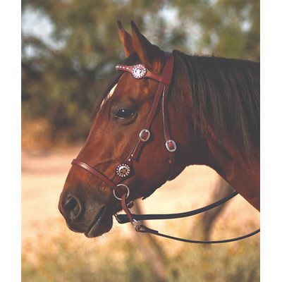 Nurtural Horse Elite Western Bridle - Brown