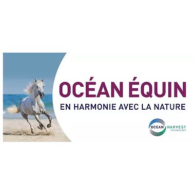 Lozana Ocean Equine 