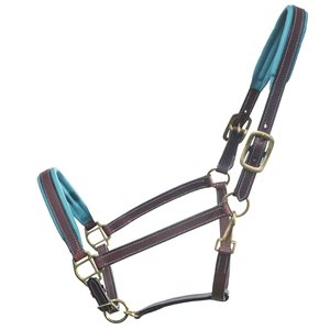 Leather Padded Halter - Turquoise