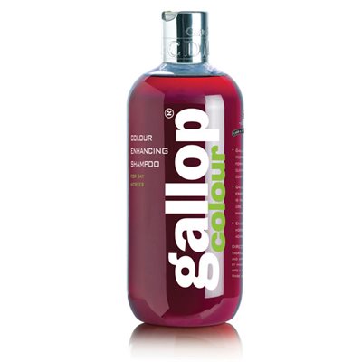 Gallop Colour Enhancing Shampoo for Bay 500ml