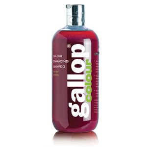 Gallop Colour Enhancing Shampoo for Bay 500ml