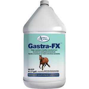 Omega Alpha Gastra FX 4L