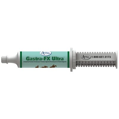 Seringue Omega Alpha Gastra-FX Ultra 60cc