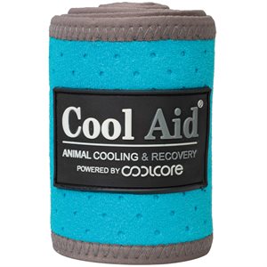 Weaver CoolAid Equine Icing and Cooling Polo Wraps - Turquoise