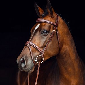 Horze Sion Bridle with Reins - Brown