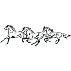 Vinyl sticker - Galloping horses