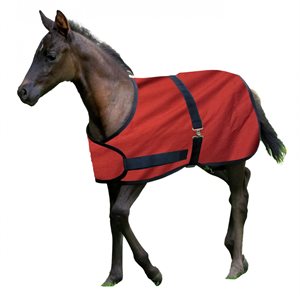 Century 600D Foal Blanket 200g - Red
