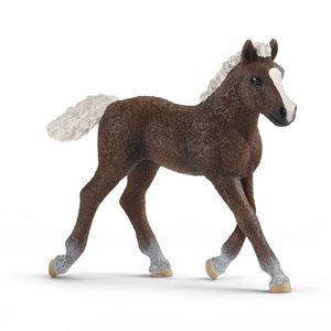 Schleich Figurine - Black Forest Foal