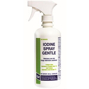 DVL Iodine Spray 500ml