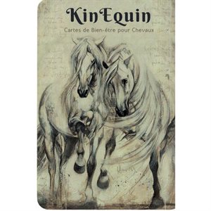 KinEquin Wellness Cards for Horses - French