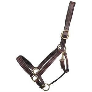 Bromont Padded Halter with Brass Hardware