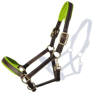 Leather Padded Halter - Lime